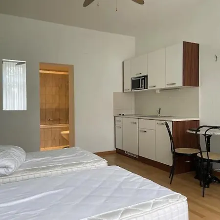 Apartment Renovated Near Sees Zurich